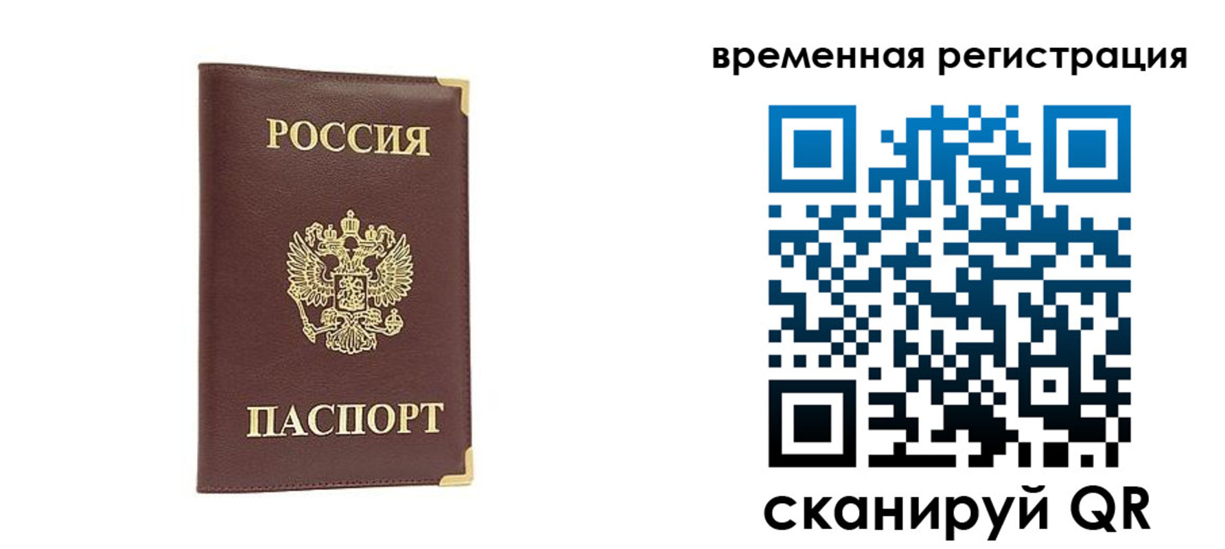 прописка от собственника в Мариинском Посаде